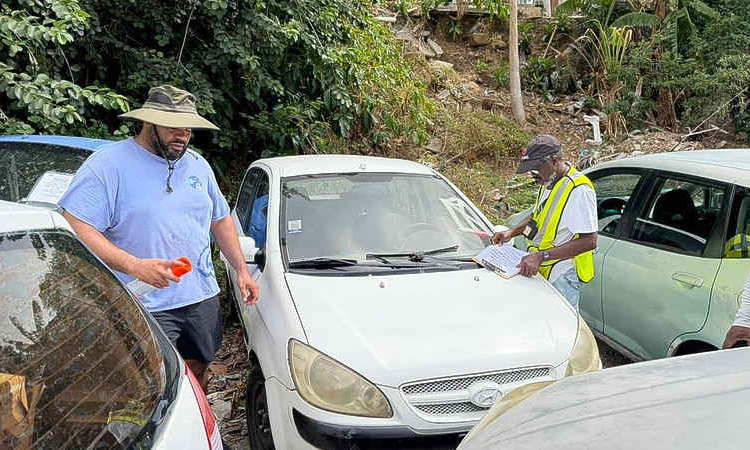 VROMI tags first 250  car wrecks for removal