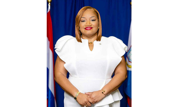 Gumbs tells Govt., Parliament,  institutions to ‘get it together’