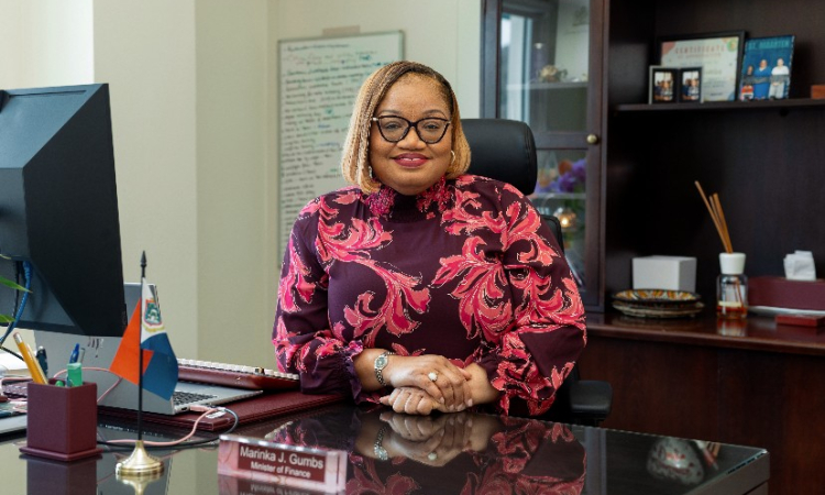 Cg.8.1M surplus, 670.3M revenue  projected in the draft 2027 budget 