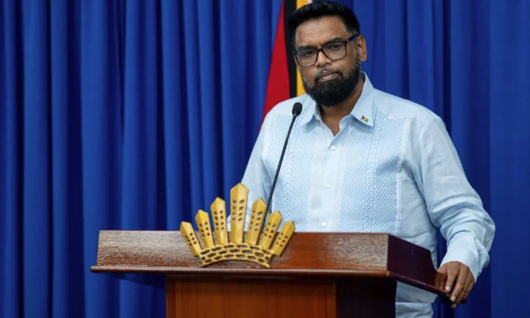 President Ali says major investments needed to fix power  issues, deems blackouts ‘unpleasant, unacceptable’