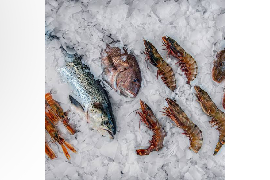 Ice machine soon for Simpson Bay Fish Market to better fish handling