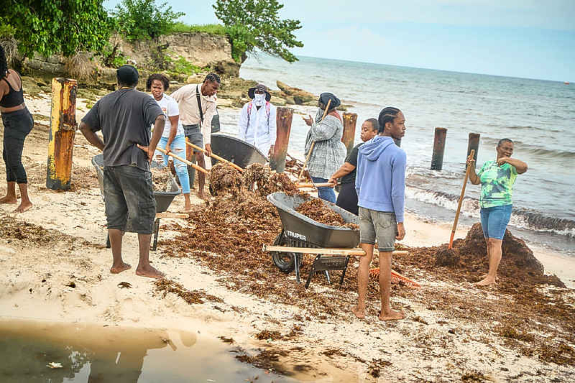Sargassum removal  tops 3.6 million pounds