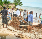 Sargassum removal  tops 3.6 million pounds