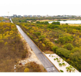 Gumbs: Put Mullet Bay up for sale  instead of pursuing master plan