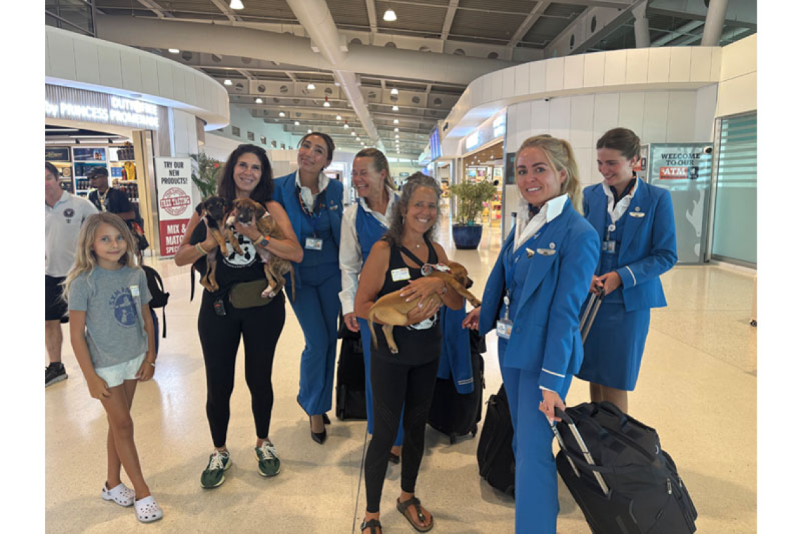 Paws in Flight brings  rescued puppies to PJIA