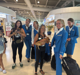 Paws in Flight brings  rescued puppies to PJIA