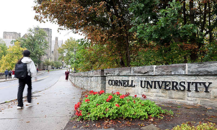 Alleged Cornell gang rape prompts calls  to revise New York sexual assault laws