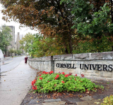 Alleged Cornell gang rape prompts calls  to revise New York sexual assault laws