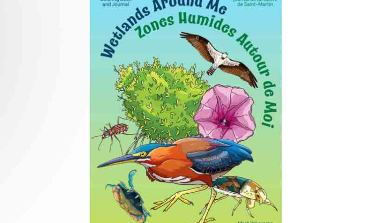 Migratory Bird Festival to  highlight wetlands, birds