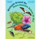 Migratory Bird Festival to  highlight wetlands, birds