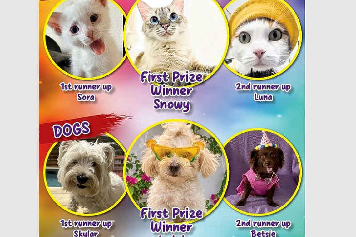Subscribers! Vote for your favourite cat and dog photos.