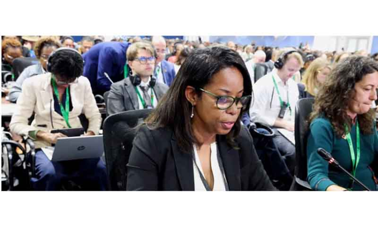 The Caribbean, America call for stronger biodiversity  action and financing at COP17 Opening in Armenia
