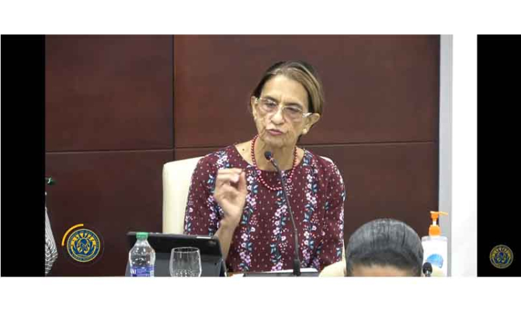 Sarah backs breadfruit initiative,  proposes more fruit trees, veggies