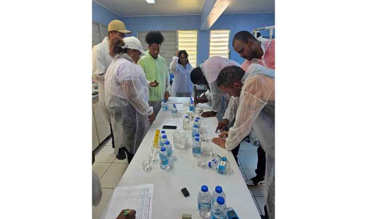 Statia students investigate water quality  in hands-on environmental science activity