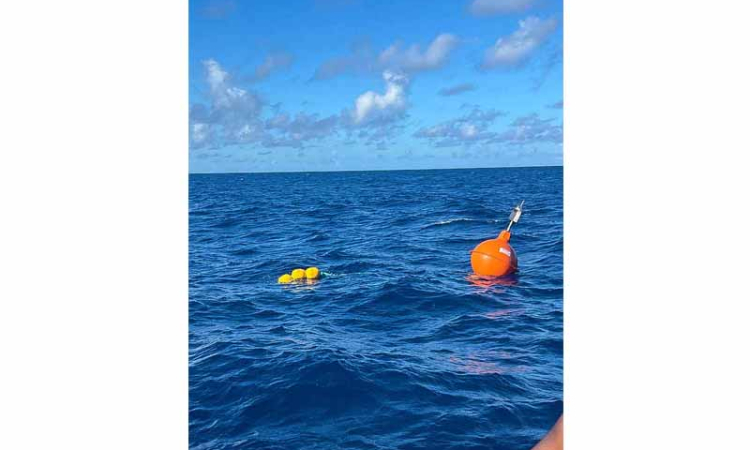 First 2 fish aggregating devices  to support fishermen launched