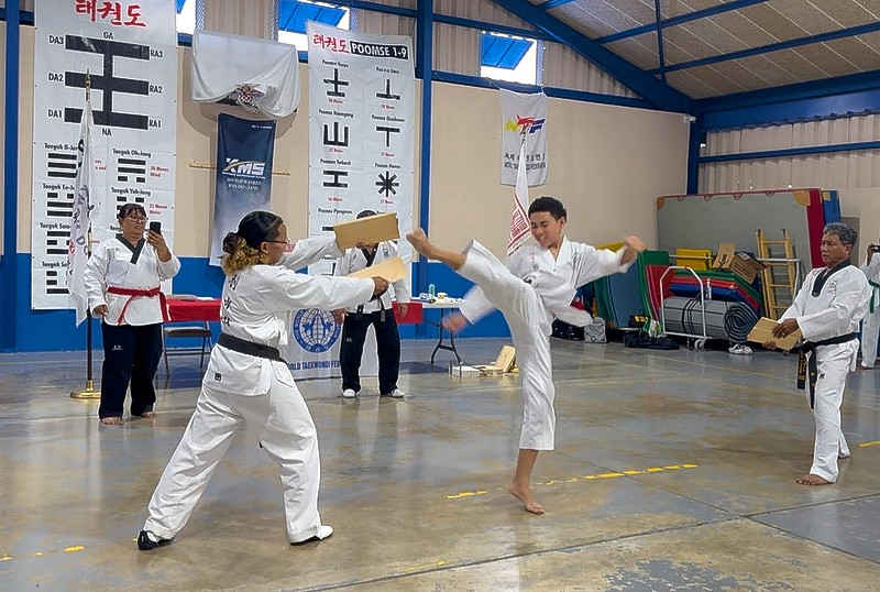 Board_breaking_with_spinning_kck_Rique-Lee.jpg