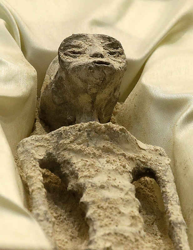 close_up.jpg