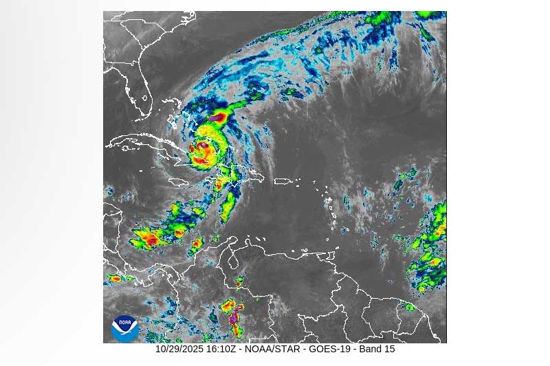 web template 800x533